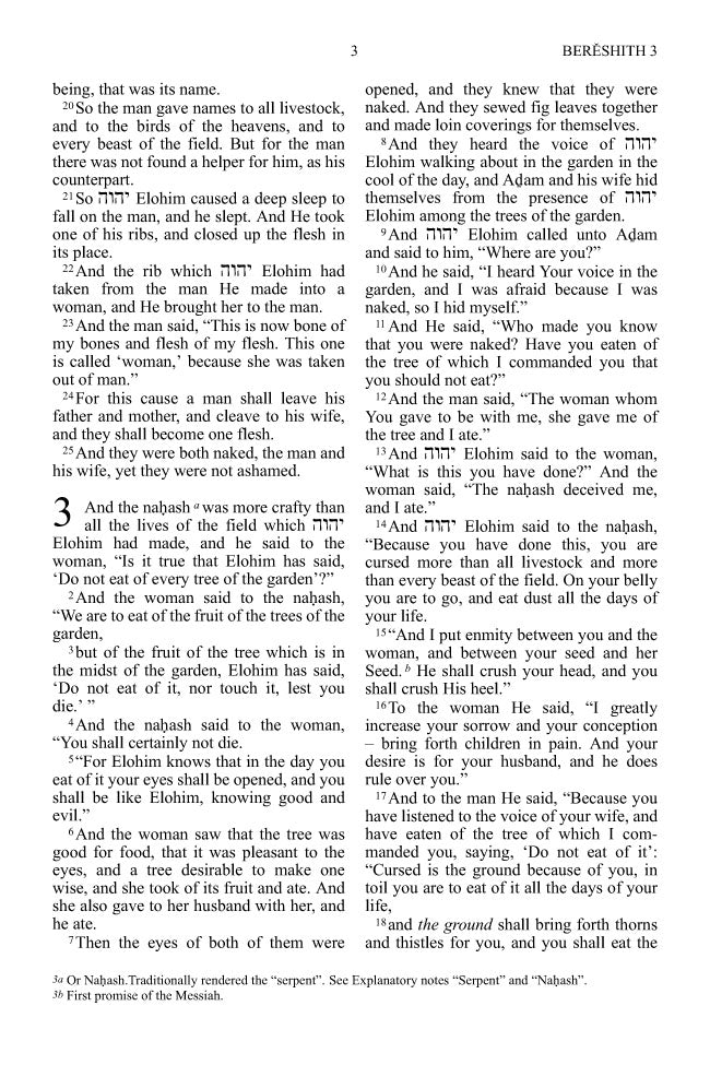 The Scriptures, Duotone Tan