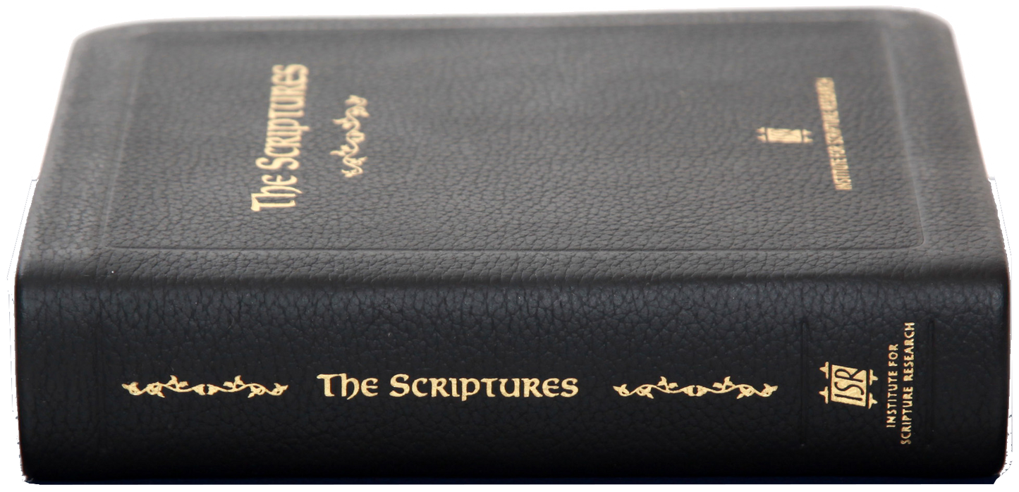 The Scriptures, Pocket Edition, Leather Cover