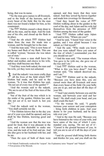 The Scriptures, Duotone Tan